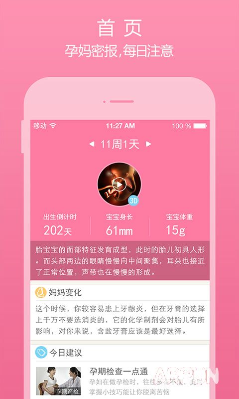 美柚孕期