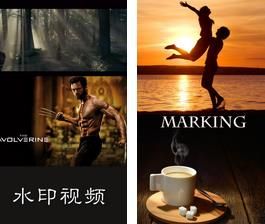 水印王