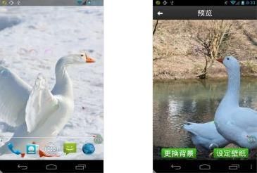 鹅鹅鹅动态壁纸