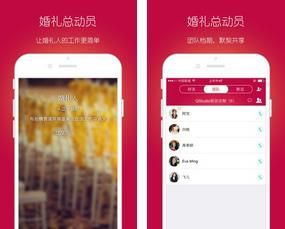 婚礼总动员