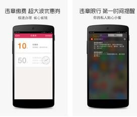 违章查询助手