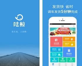陆鲸