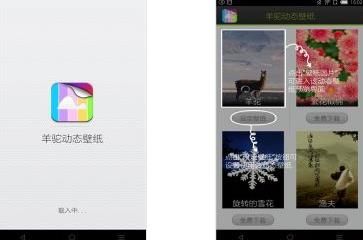 羊驼动态壁纸
