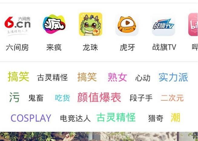 小播app 安卓版