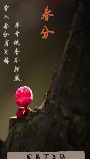 周易万年历