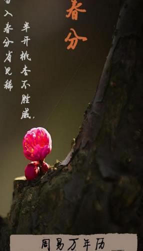 周易万年历