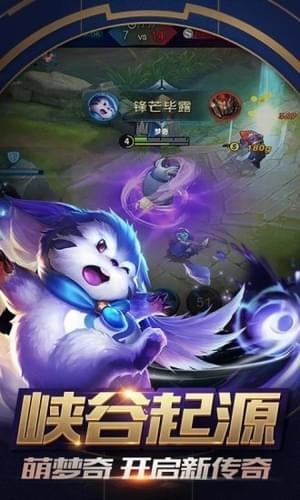 小美王者美化盒子