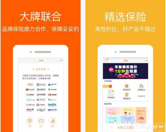 趣保网