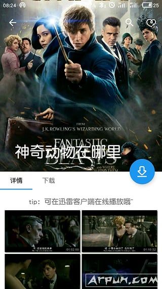 电影雷达