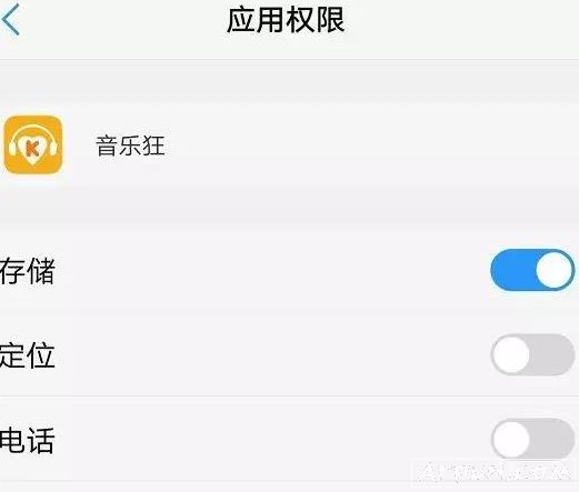 音乐狂人