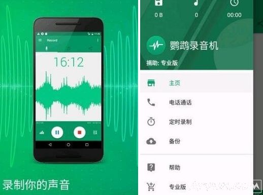 鹦鹉录音机