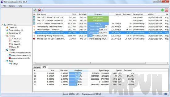 Tiny Downloader(绿色视频下载器)