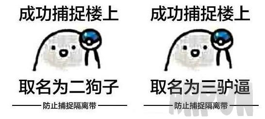 成功捕捉楼上QQ表情包