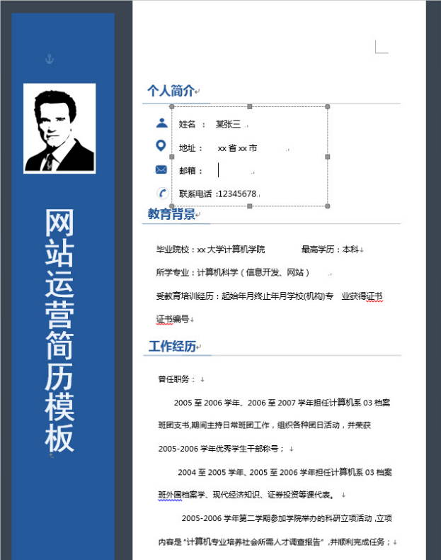 网站运营求职ppt模板