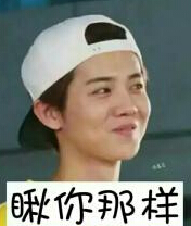 没想到你是这样的鹿晗表情包