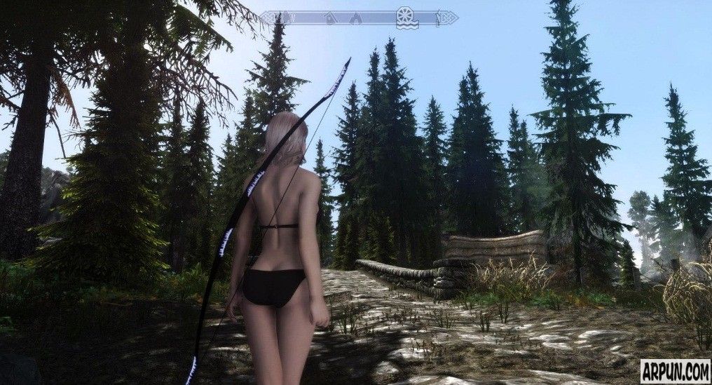 《上古卷轴5天际重制版》黑暗之弓MOD