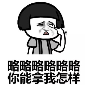 你能拿我怎么样表情包