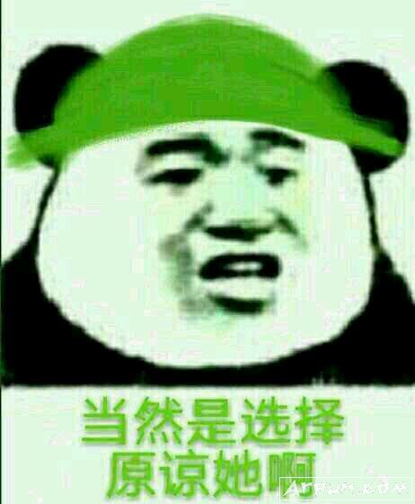 熊猫头系列当然选择原谅她表情包 完整版