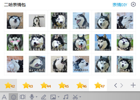 二哈表情包图片大全
