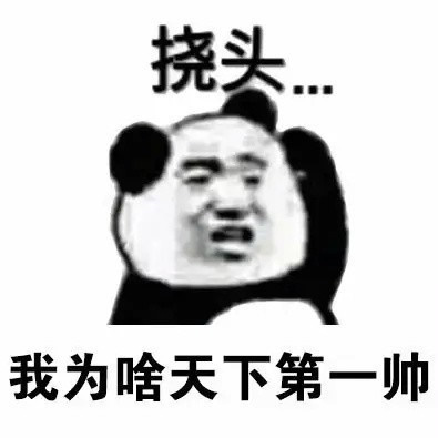 熊猫挠头qq表情_挠头表情包完整版 高清无水印