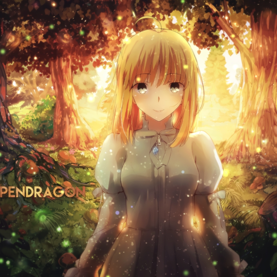 Wallpaper Engine ֮Saber ֽ̬