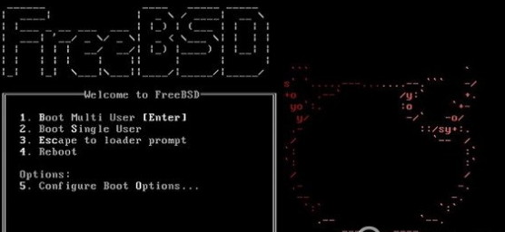 FreeBSD操作系统(最新版本unix操作系统)