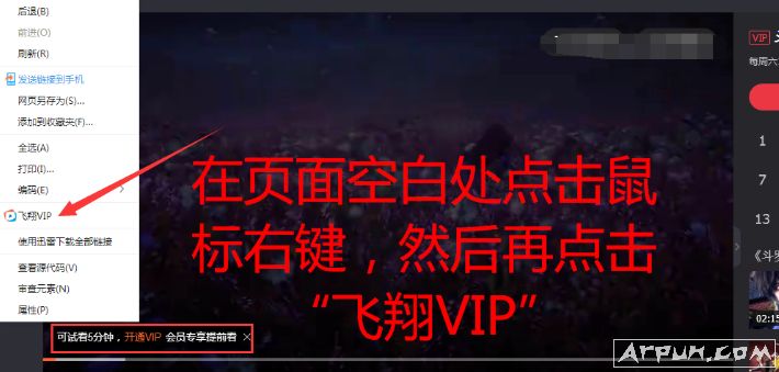 飞翔VIPchrome内核浏览器插件