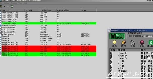TCPView(˿̲߳鿴)