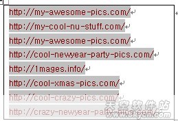 ����MSN���칤�ߵ���ţ����