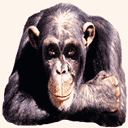 ��Ц��QQȺ�ı���QQ�ռ�FLASHģ��