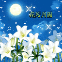 2009�����ף��QQ����