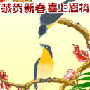 ����2010���괺��ף��QQ����