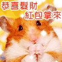 ����2010���괺��ף��QQ����