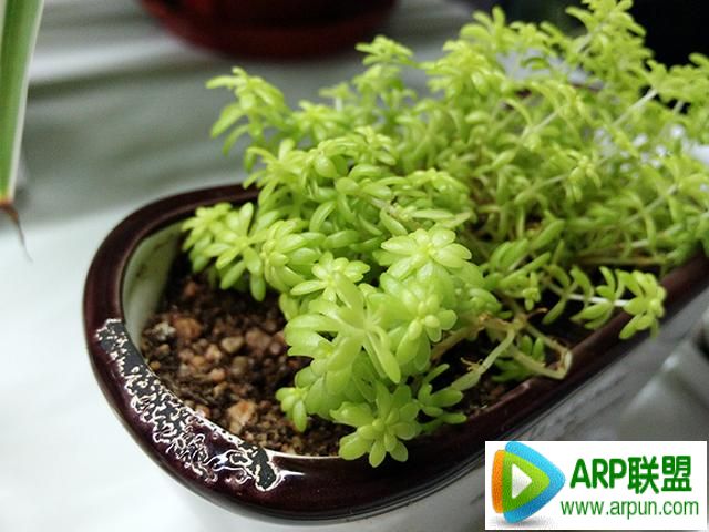 OPPO N3����OPPO N3���⣺��ת��ͷ�ͼ۸�Ľ�����