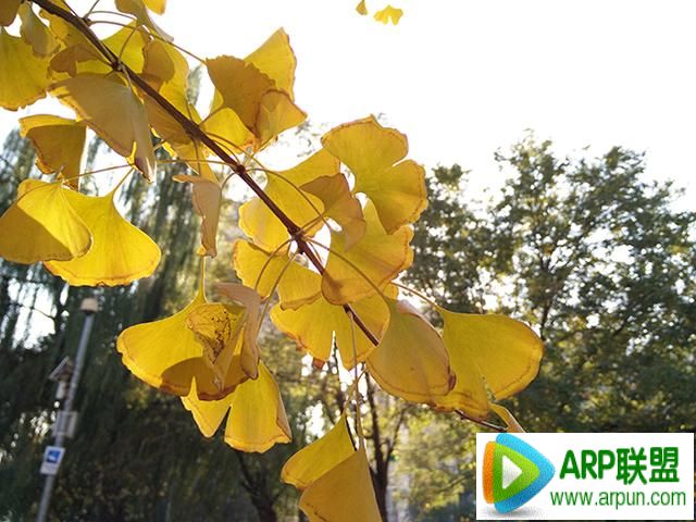 OPPO N3����OPPO N3���⣺��ת��ͷ�ͼ۸�Ľ�����