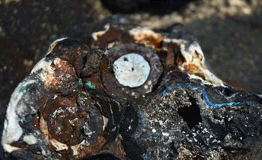 ������ܷ��ɻ�ʯ��¼��