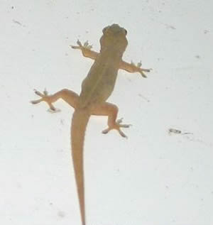 ץ�ڻ�Ϊʲô����ԭ������ �ڻ��ж���Ի�������