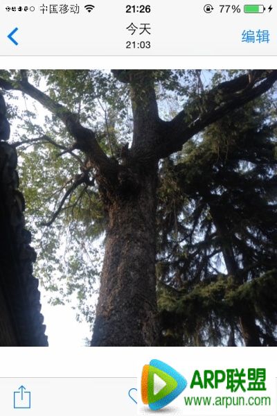 iPhone��ν���Ƭ��������������ʾ