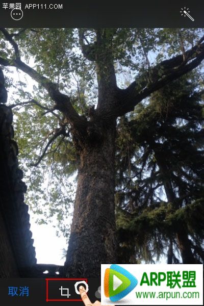 iPhone��ν���Ƭ��������������ʾ