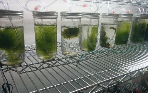 �����������ر�﮵��Ҫ�ٶ�200���ĵ��!