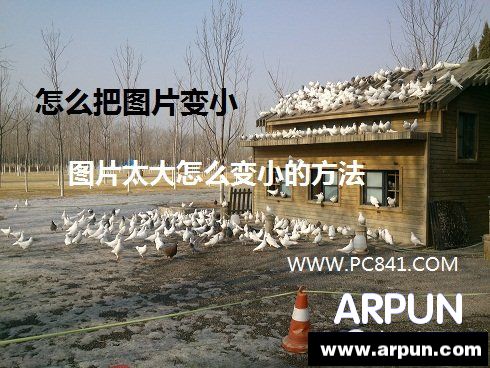 ��ô��ͼƬ��С ͼƬ̫����ô��С�ķ�����ô��ͼƬ��С