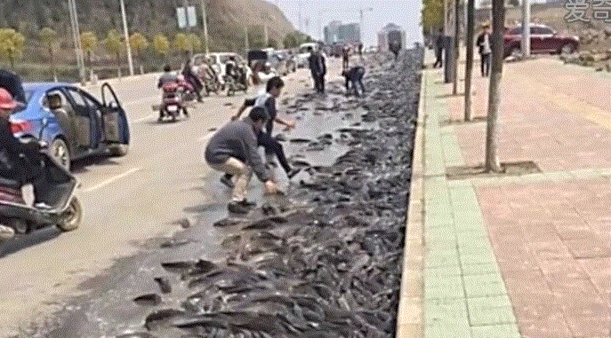 ̩��������