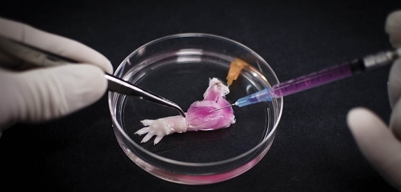 �ϱ۾�Ȼ��������?