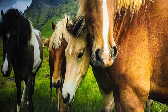 iphone6s��ʲô�¹���