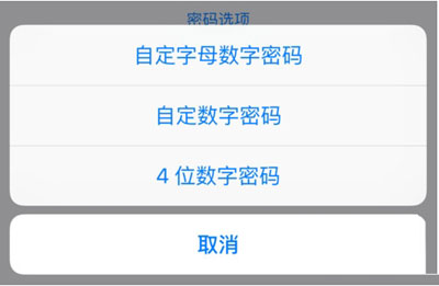 ios9����6λ��������Ĳ��跽������ѡ��