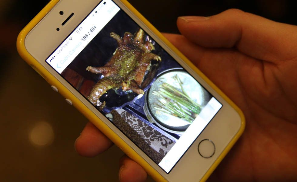 ����Ϣ! 183�������Ѿ���׼��ֹ��ɽ����˽ó��