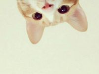 ��������ר��ͷ��ԭ��PS_��������ͷ������ԭ������