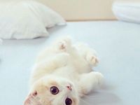 ��������ר��ͷ��ԭ��PS_��������ͷ������ԭ������