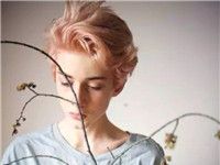 2017ŷ����������QQͷ��