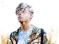 2017ŷ����������QQͷ��